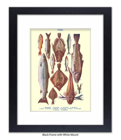 Sea Fish - 1 -12 -  Art Print