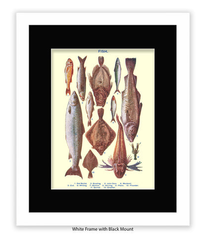 Sea Fish - 1 -12 -  Art Print