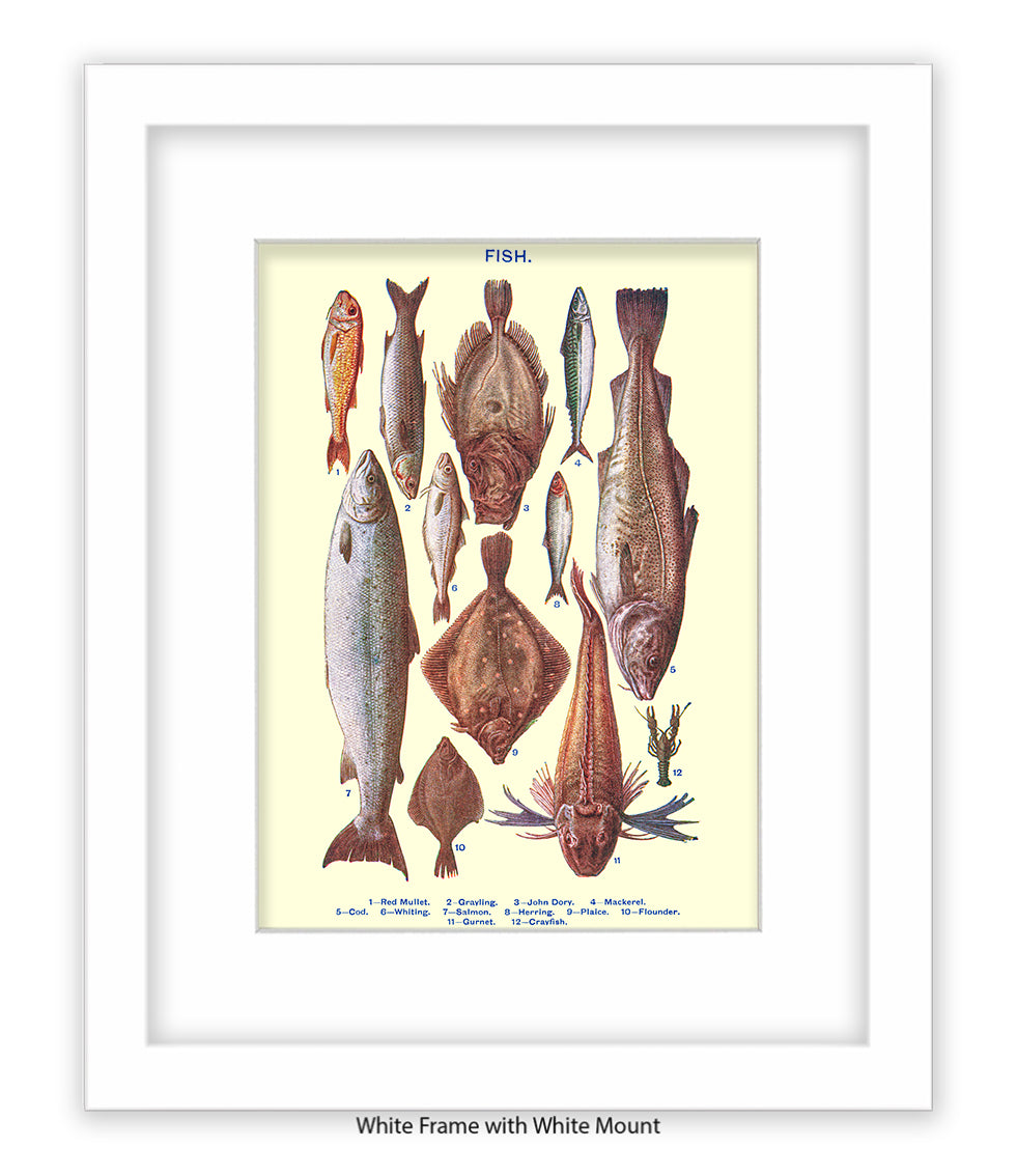 Sea Fish - 1 -12 -  Art Print