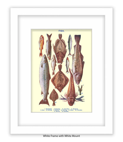 Sea Fish - 1 -12 -  Art Print