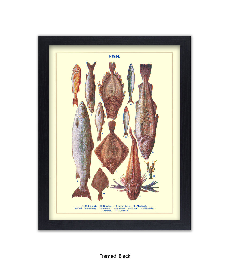 Sea Fish - 1 -12 -  Art Print