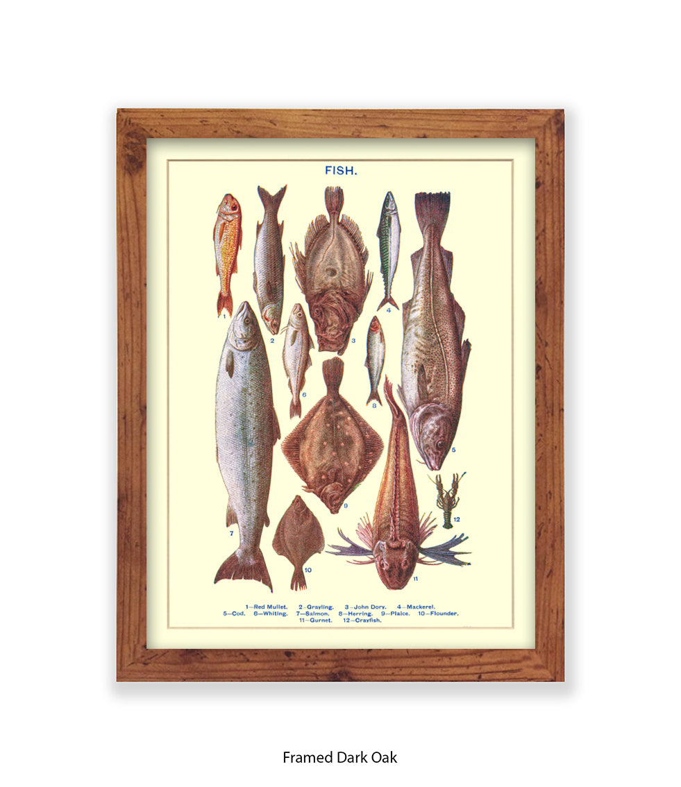 Sea Fish - 1 -12 -  Art Print