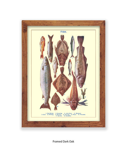 Sea Fish - 1 -12 -  Art Print
