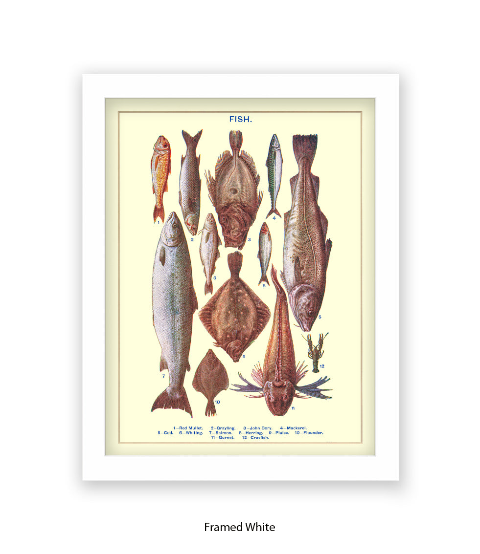 Sea Fish - 1 -12 -  Art Print