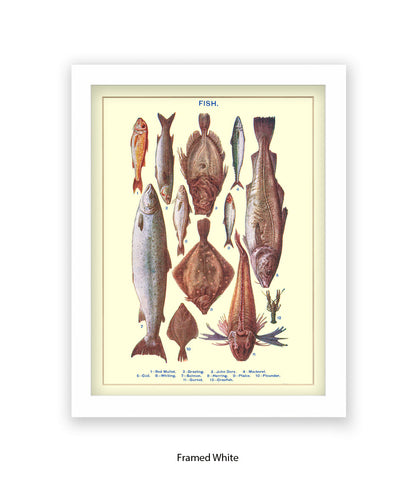 Sea Fish - 1 -12 -  Art Print