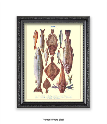 Sea Fish - 1 -12 -  Art Print