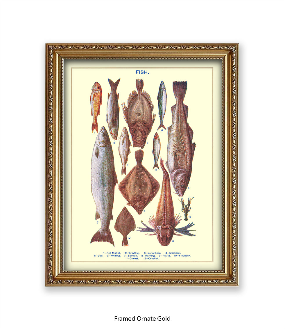 Sea Fish - 1 -12 -  Art Print