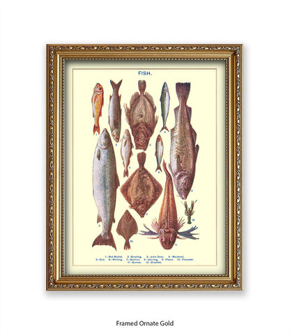 Sea Fish - 1 -12 -  Art Print