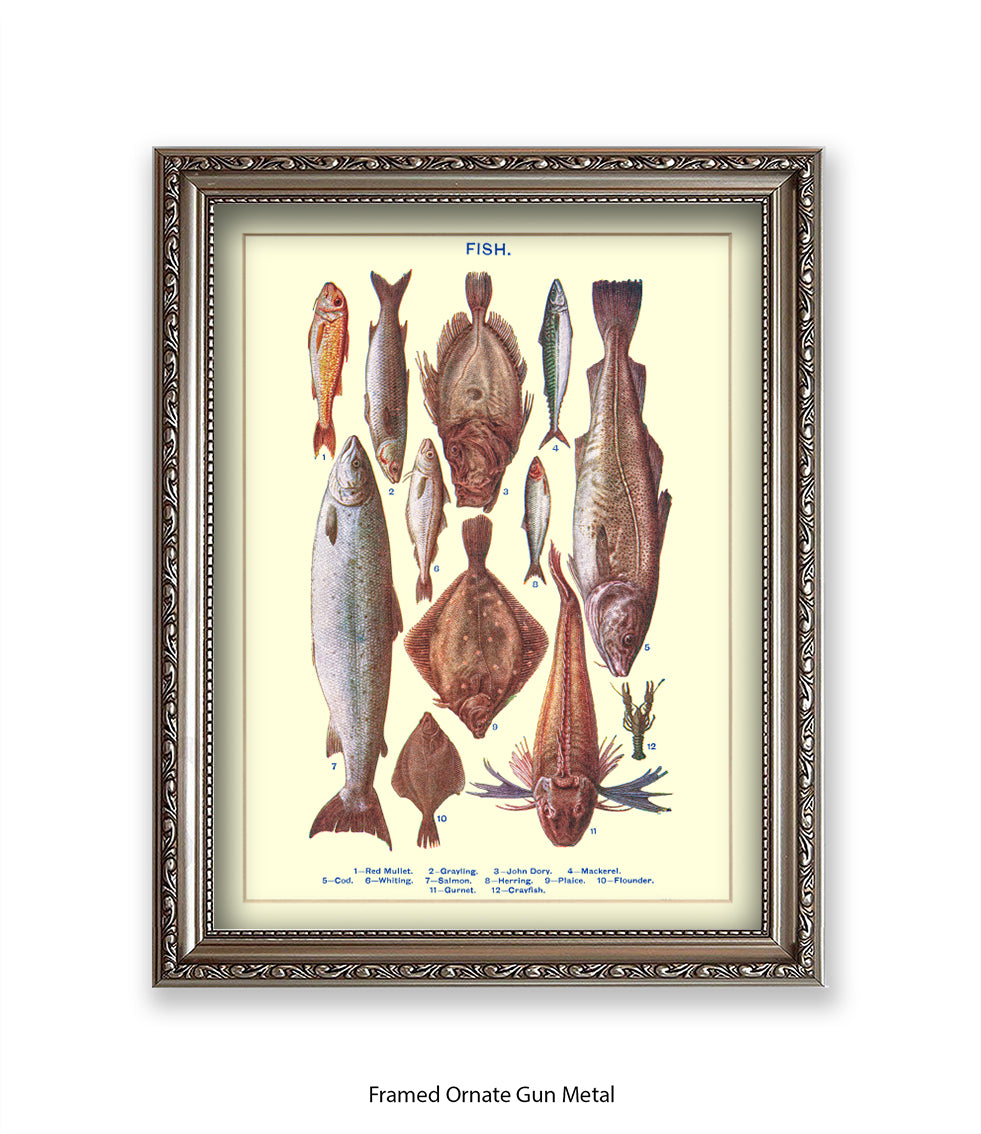 Sea Fish - 1 -12 -  Art Print