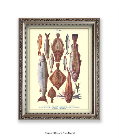 Sea Fish - 1 -12 -  Art Print