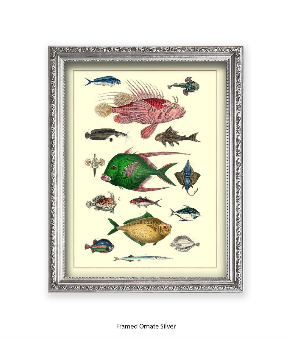 Tropical Fish 1-15 -  Art Print
