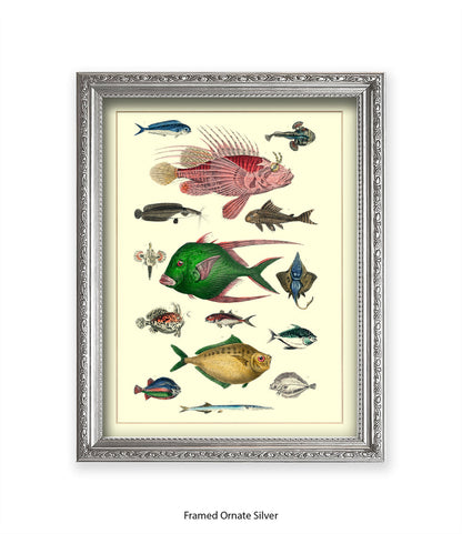 Tropical Fish 1-15 -  Art Print