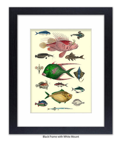 Tropical Fish 1-15 -  Art Print