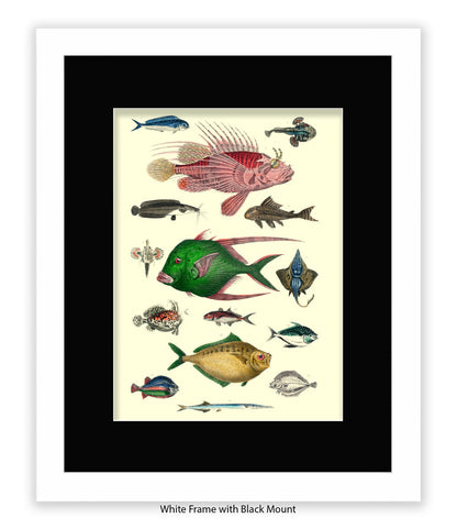 Tropical Fish 1-15 -  Art Print