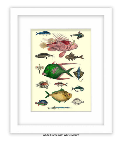 Tropical Fish 1-15 -  Art Print