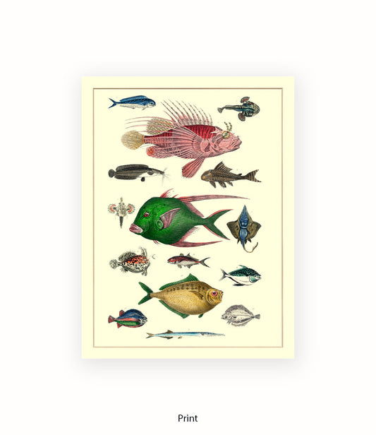 Tropical Fish 1-15 -  Art Print