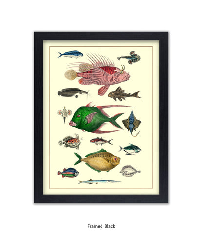 Tropical Fish 1-15 -  Art Print