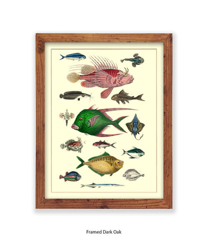 Tropical Fish 1-15 -  Art Print