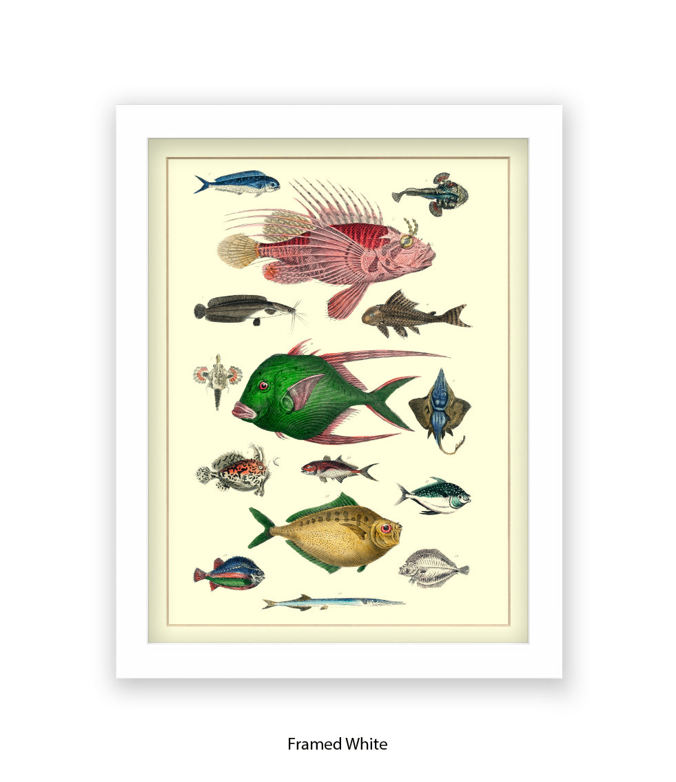 Tropical Fish 1-15 -  Art Print