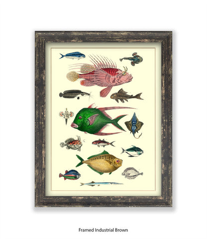 Tropical Fish 1-15 -  Art Print