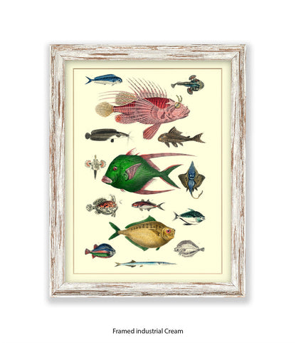 Tropical Fish 1-15 -  Art Print