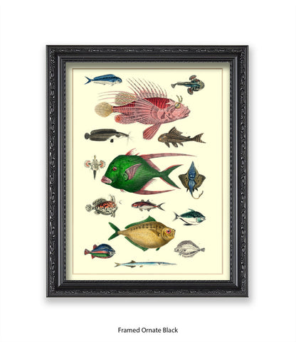 Tropical Fish 1-15 -  Art Print