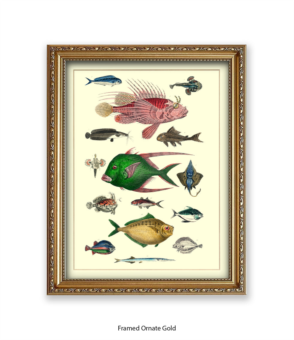 Tropical Fish 1-15 -  Art Print