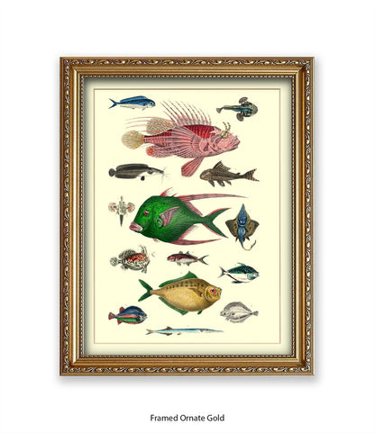 Tropical Fish 1-15 -  Art Print