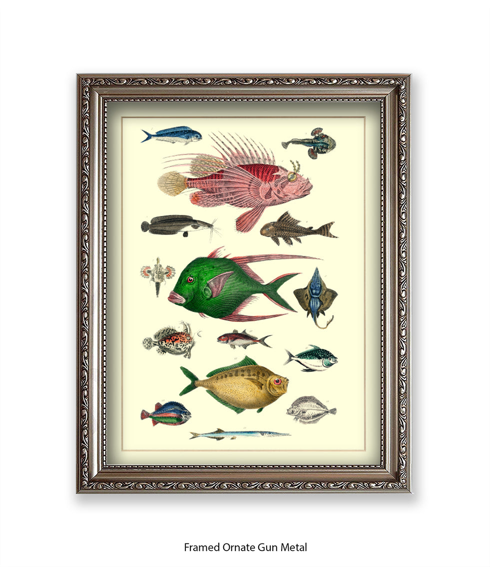 Tropical Fish 1-15 -  Art Print