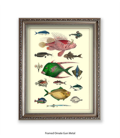 Tropical Fish 1-15 -  Art Print