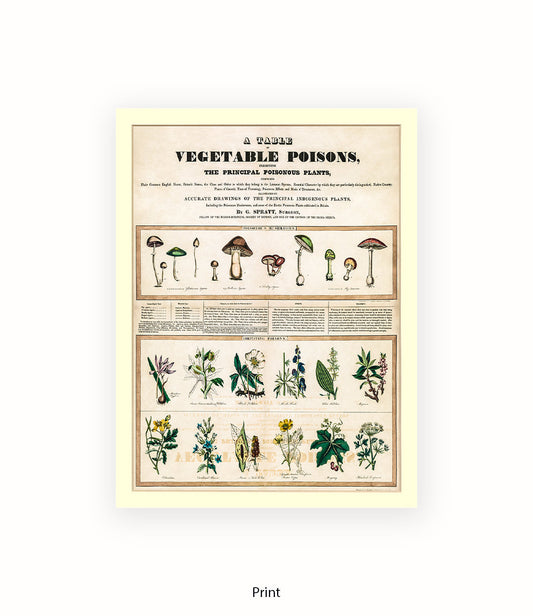 Vegetable - Piosons Art Print