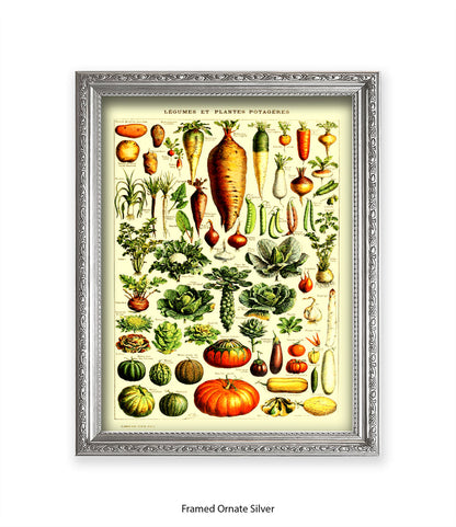 Vegetables - Legumes Et Plants Potageres Art Print