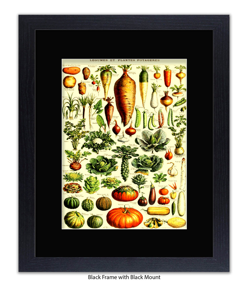 Vegetables - Legumes Et Plants Potageres Art Print