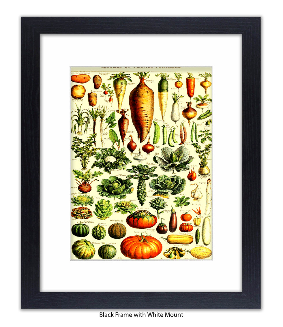 Vegetables - Legumes Et Plants Potageres Art Print