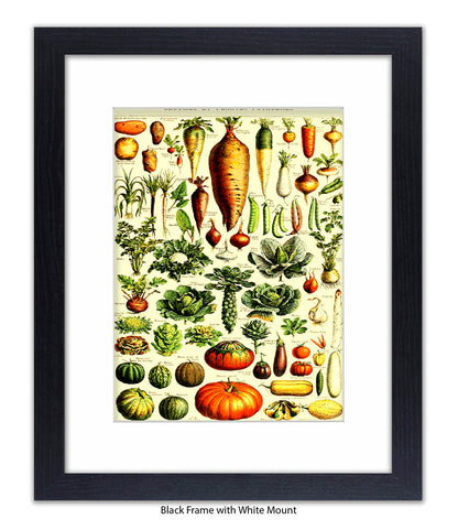 Vegetables - Legumes Et Plants Potageres Art Print
