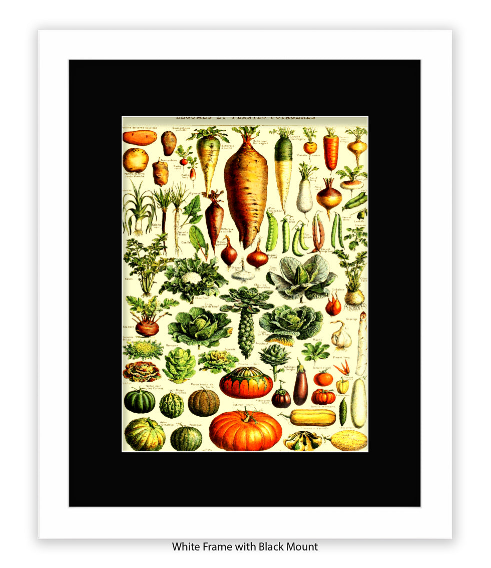 Vegetables - Legumes Et Plants Potageres Art Print
