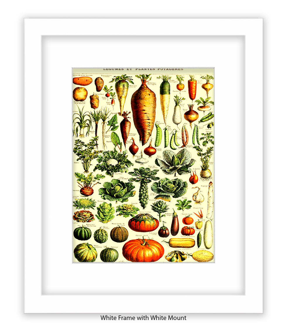 Vegetables - Legumes Et Plants Potageres Art Print