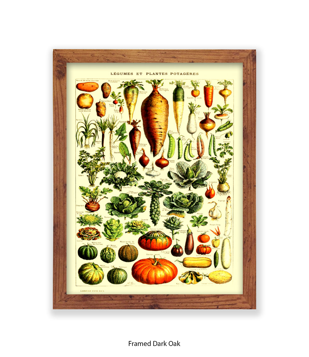 Vegetables - Legumes Et Plants Potageres Art Print