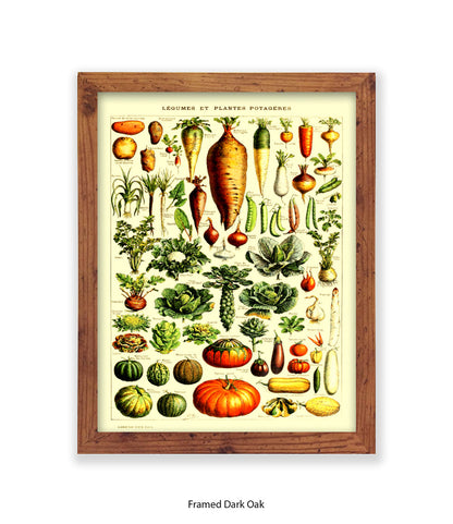 Vegetables - Legumes Et Plants Potageres Art Print