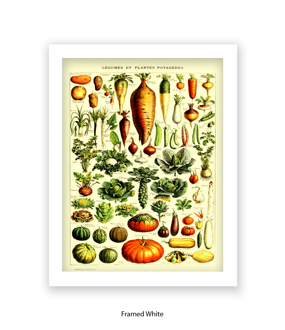 Vegetables - Legumes Et Plants Potageres Art Print