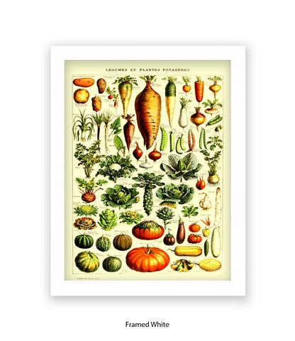 Vegetables - Legumes Et Plants Potageres Art Print