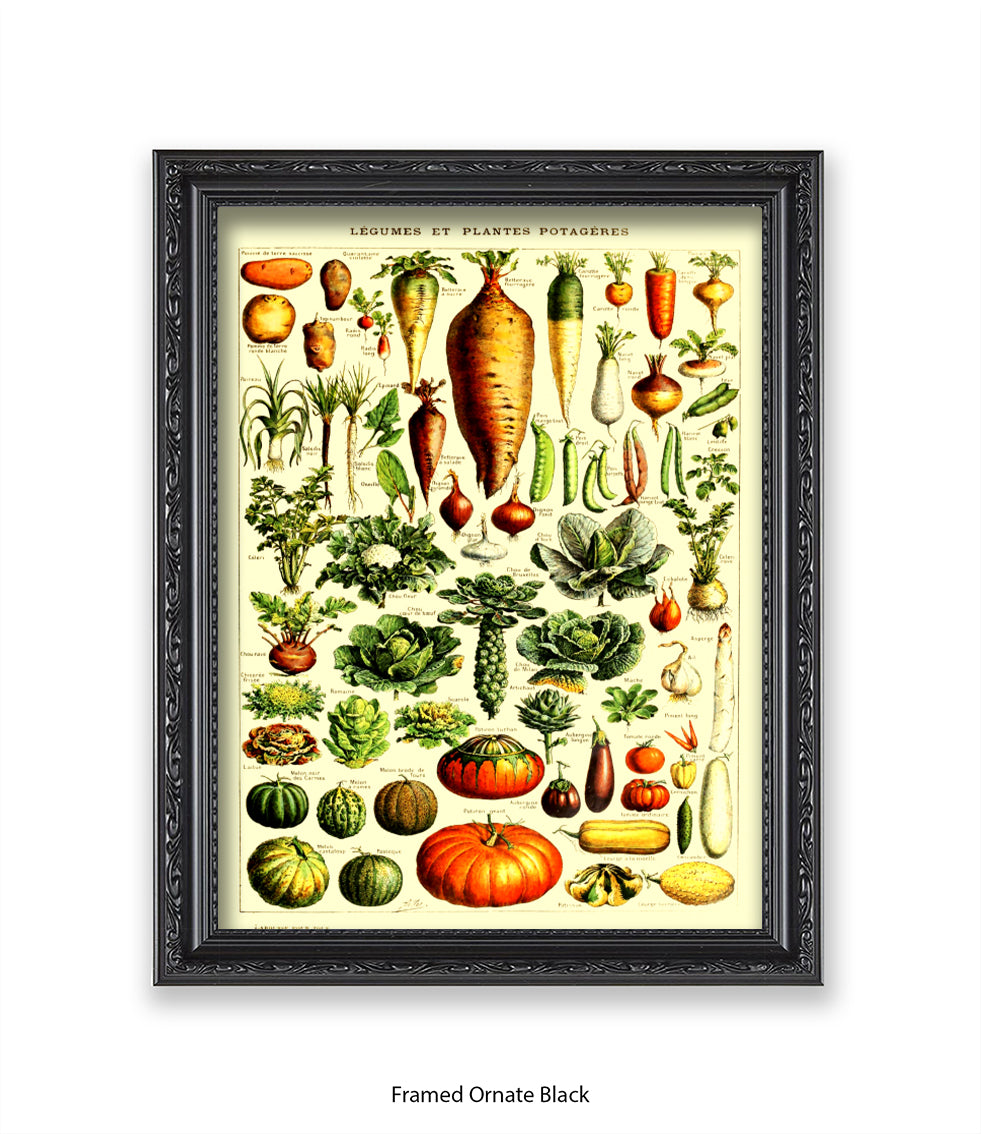 Vegetables - Legumes Et Plants Potageres Art Print