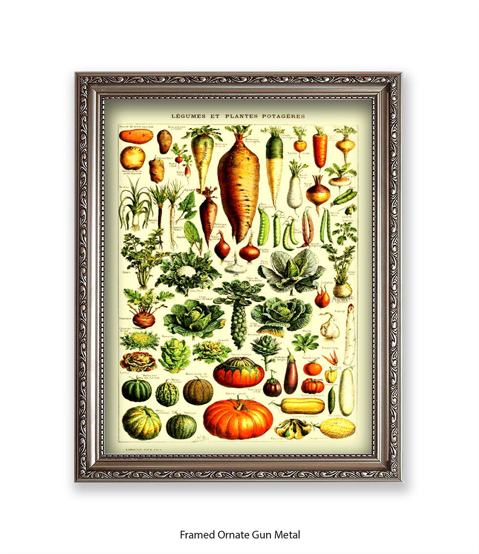 Vegetables - Legumes Et Plants Potageres Art Print