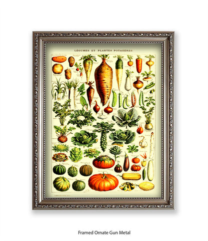 Vegetables - Legumes Et Plants Potageres Art Print