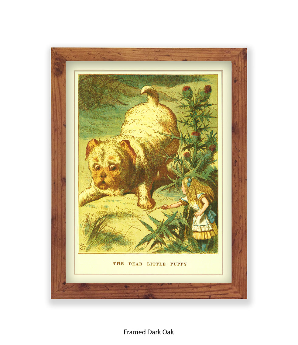 Alice In Wonderland Dear Little Puppy Art Print