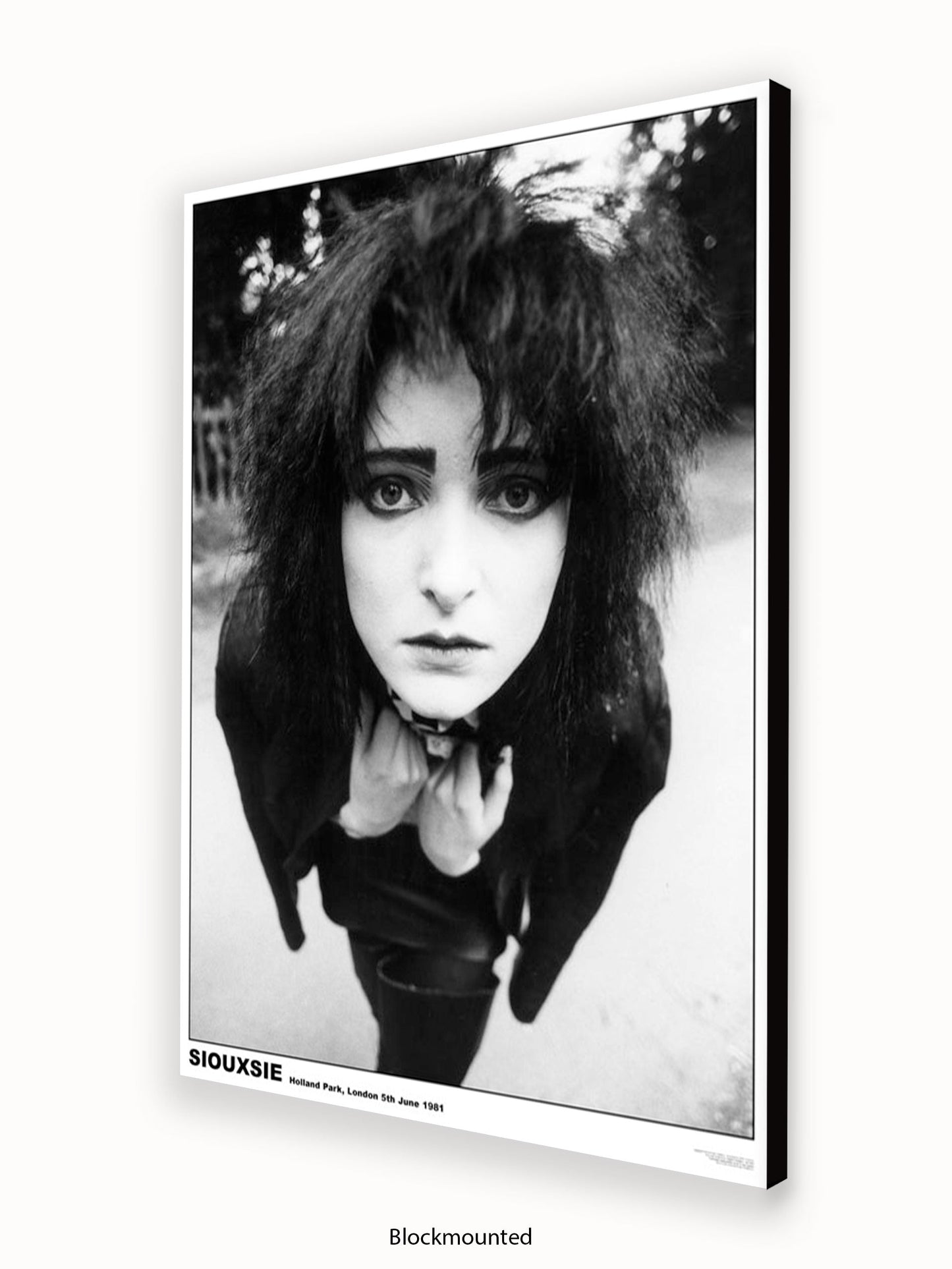 Siouxsie - Holland Park 1981 - Poster