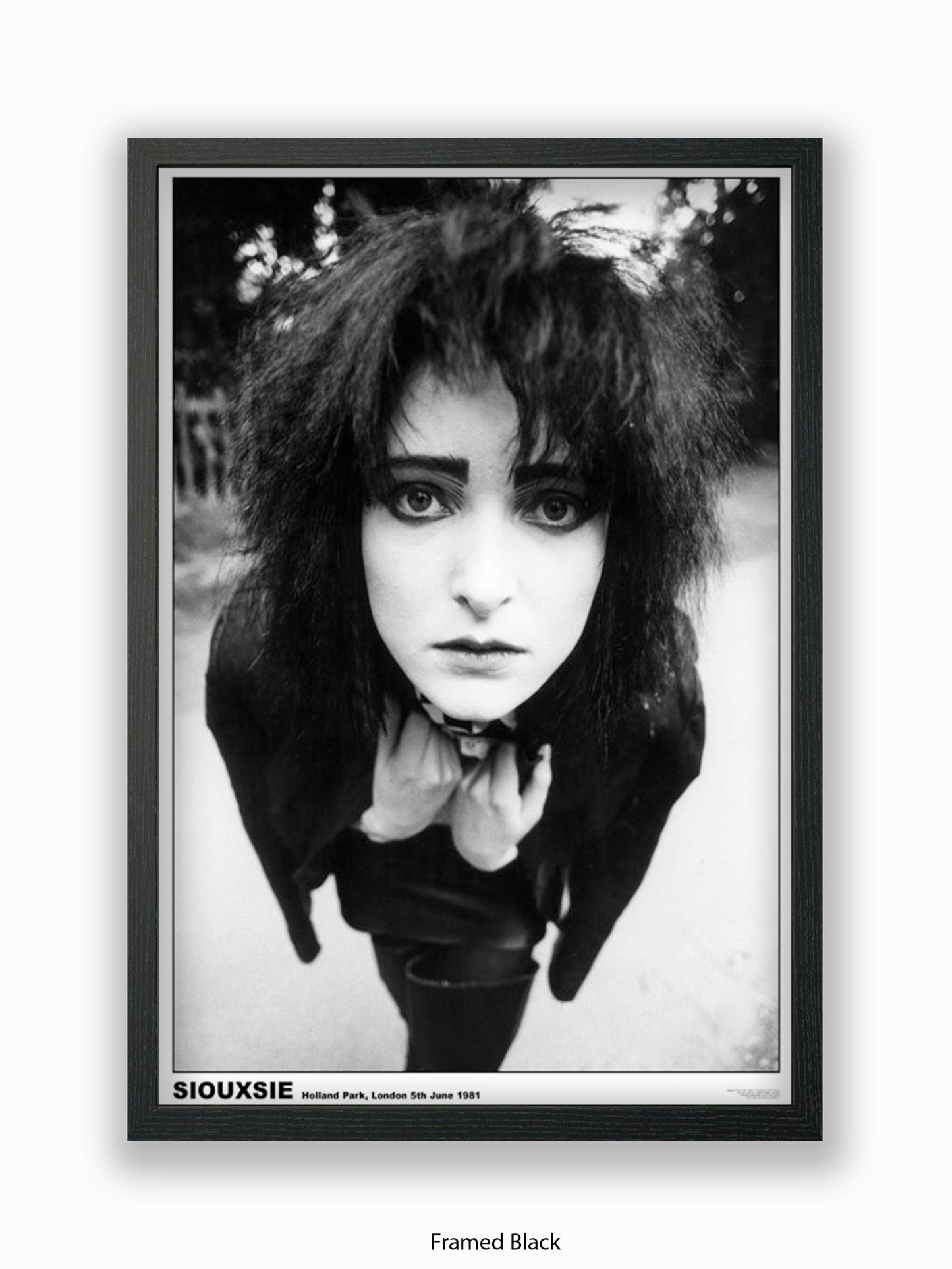 Siouxsie - Holland Park 1981 - Poster