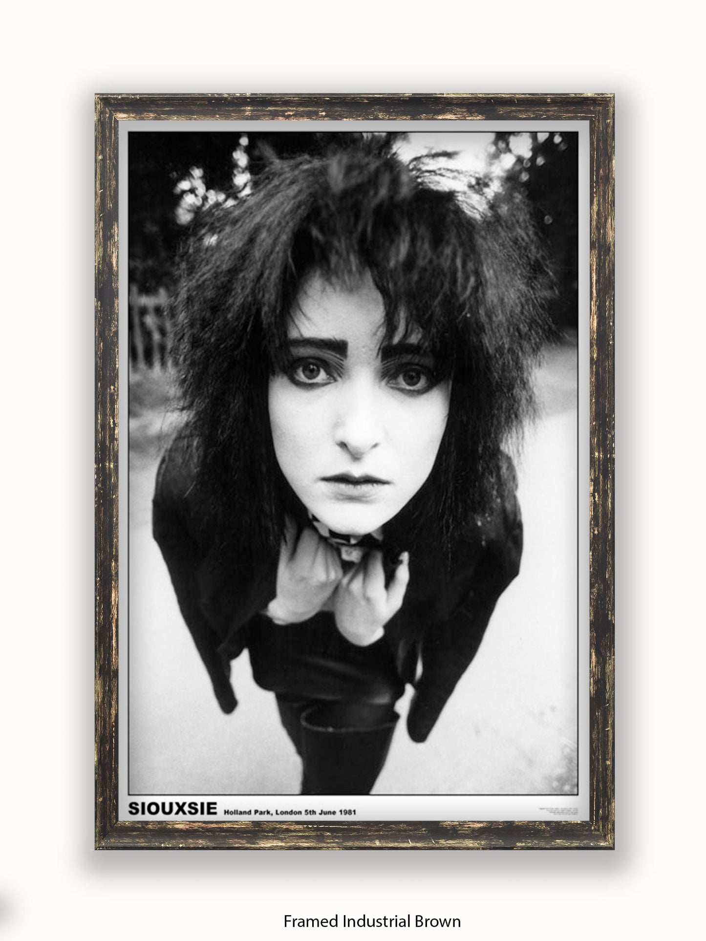 Siouxsie - Holland Park 1981 - Poster