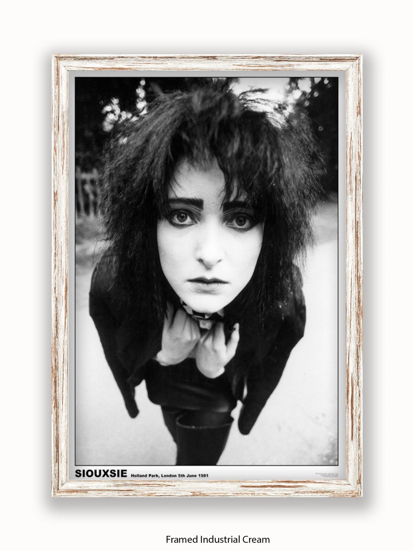 Siouxsie - Holland Park 1981 - Poster