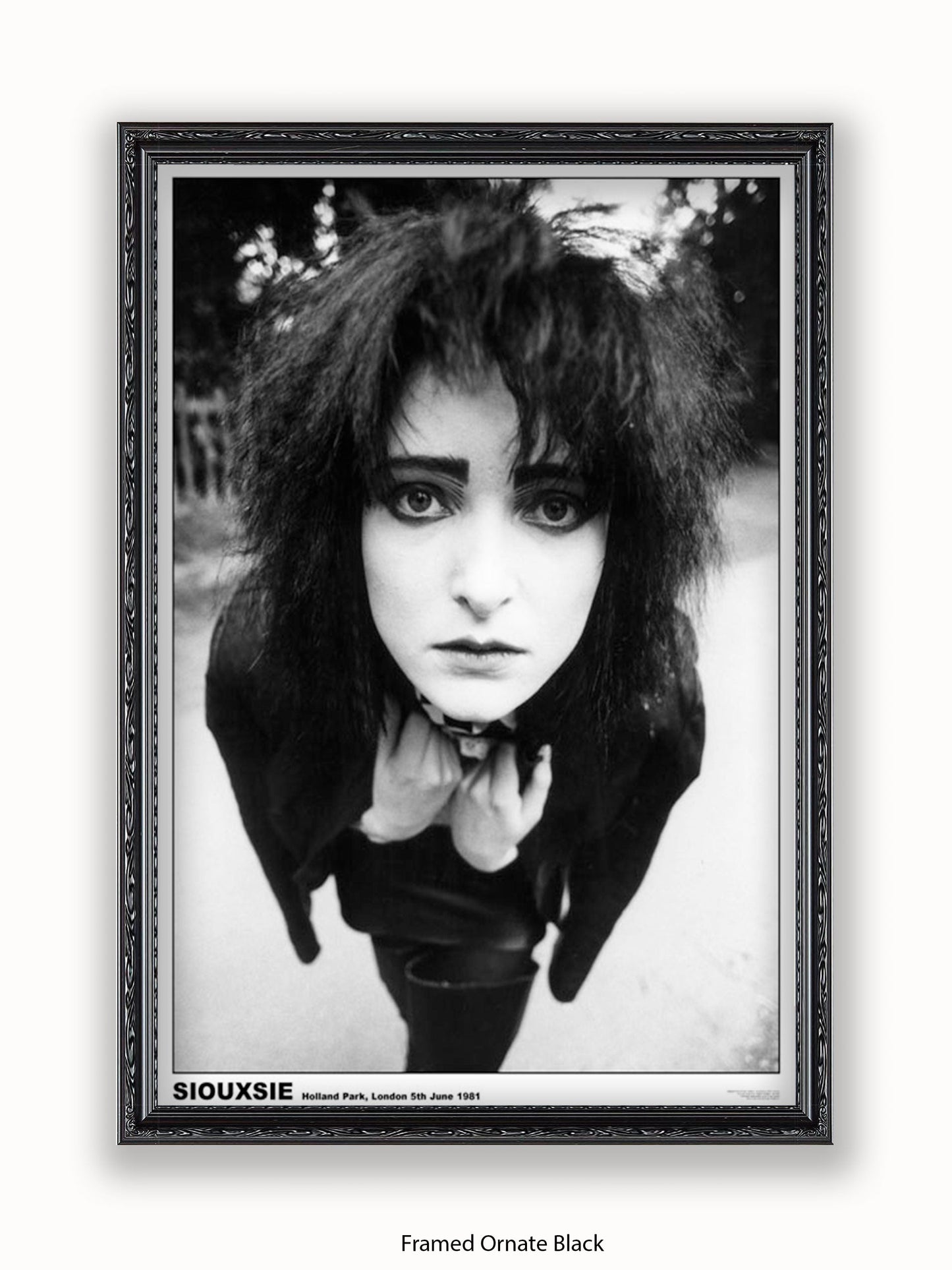 Siouxsie - Holland Park 1981 - Poster